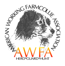 American Working Farm Collie Association logo
