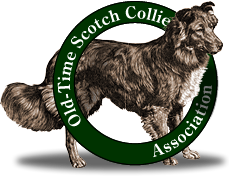 Old-Time Scotch Collie Association logo