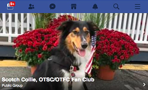 screenshot from Scotch Collie, OTSC/OTFC Fan Club on Facebook