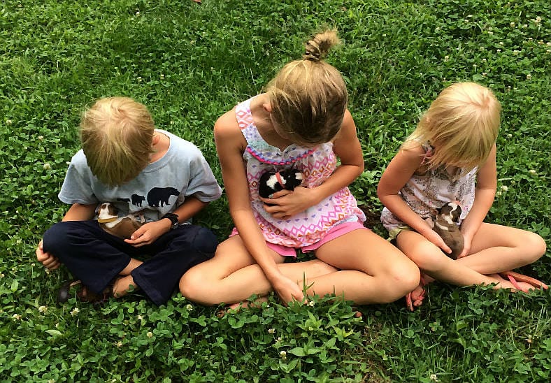 children with Heritge Hill's Montana's puppies
